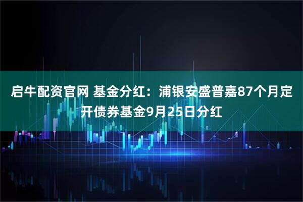 启牛配资官网 基金分红：浦银安盛普嘉87个月定开债券基金9月25日分红