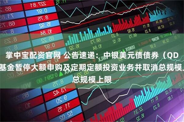 掌中宝配资官网 公告速递：中银美元债债券（QDII）基金暂停大额申购及定期定额投资业务并取消总规模上限
